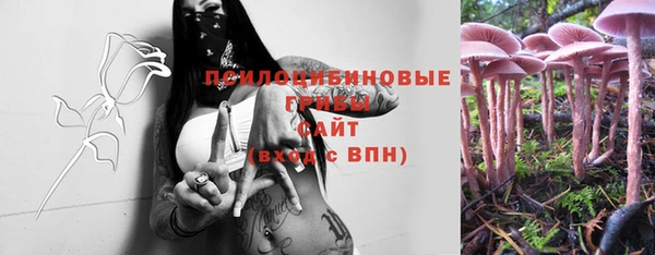 jwh Бикин